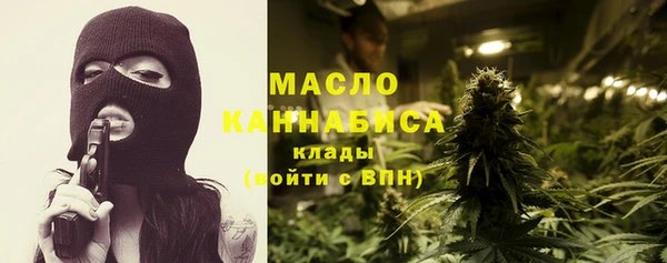 крисы Верхний Тагил