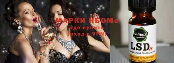 крисы Верхний Тагил