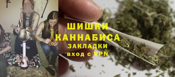 крисы Верхний Тагил