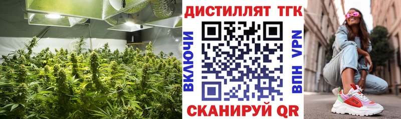 ТГК THC oil  Новомосковск 