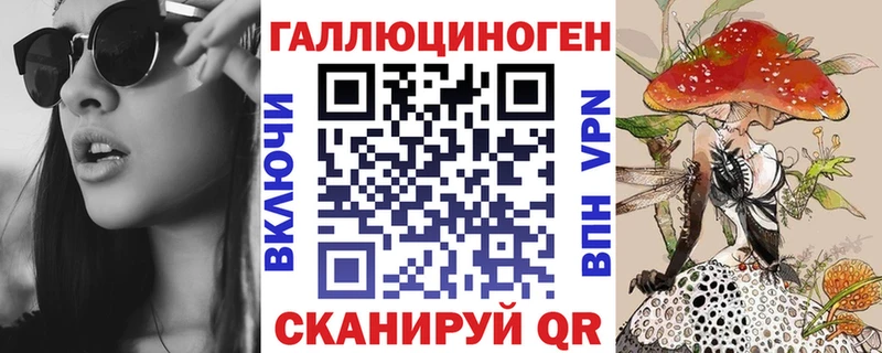 Галлюциногенные грибы Psilocybe  kraken tor  Новомосковск 